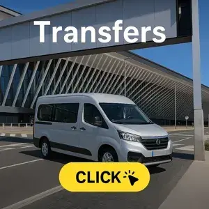 TRANSFER